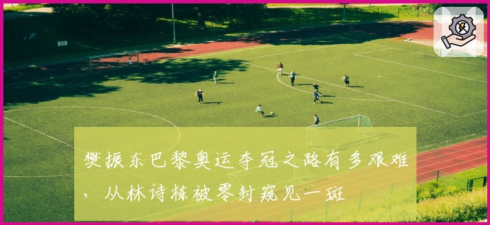 樊振东巴黎奥运夺冠之路有多艰难，从林诗栋被零封窥见一斑